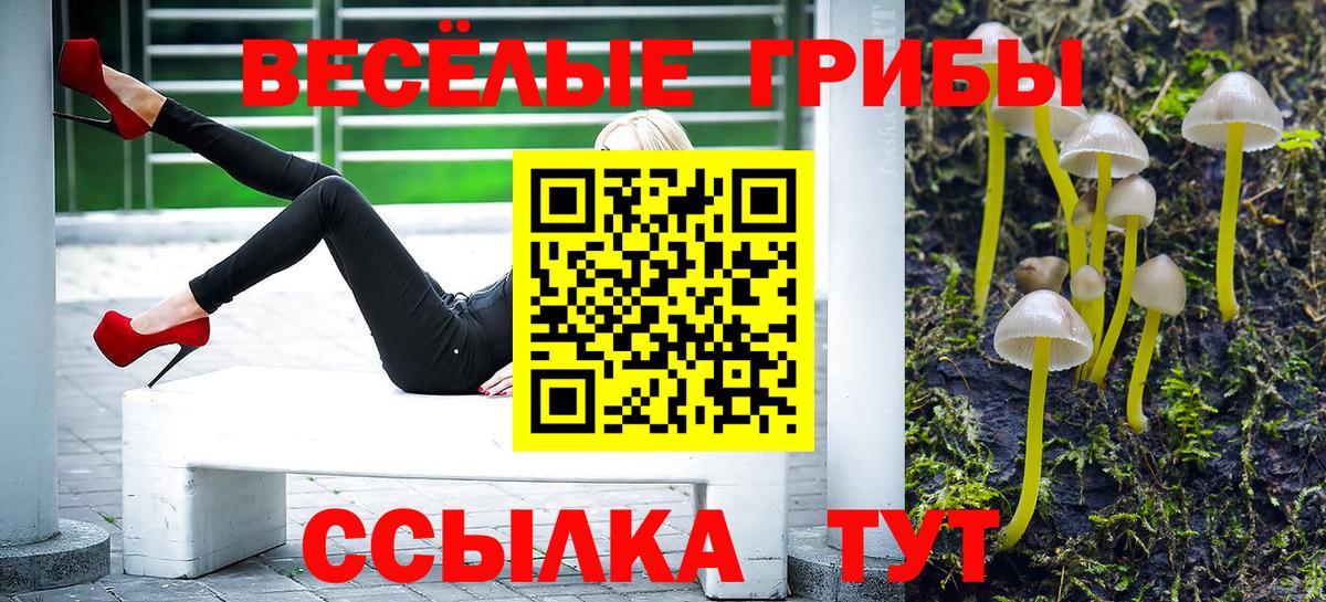Галлюциногенные грибы Magic Shrooms  Вход с VPN  Псилоцибиновые грибы мицелий  Туймазы 