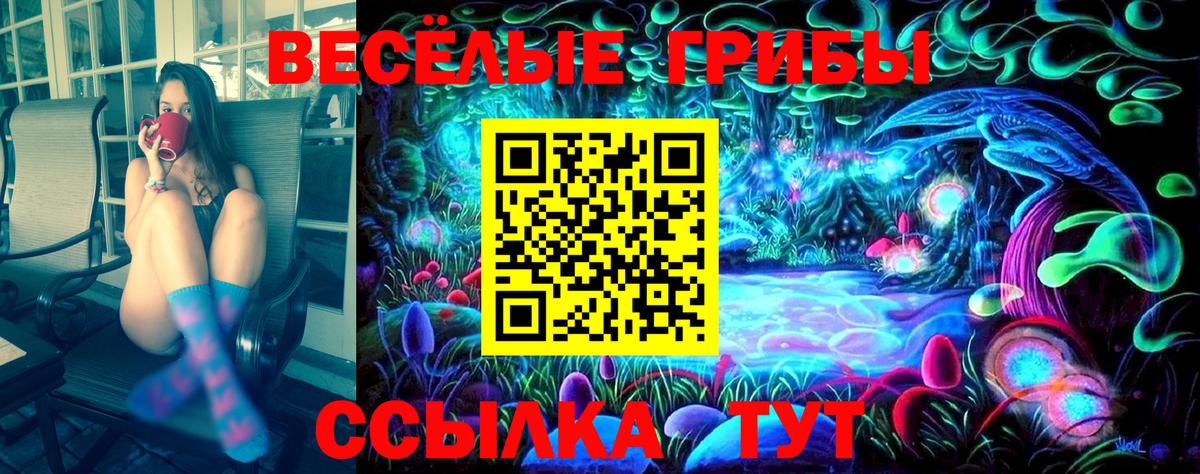 Галлюциногенные грибы Psilocybe Туймазы
